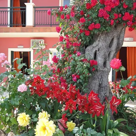 Corfu Sun Sea Side شقة فندقية بينيتسيس