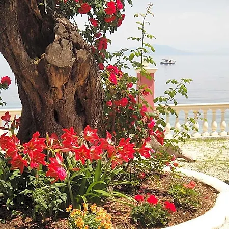 Corfu Sun Sea Side Benitses (Corfu)