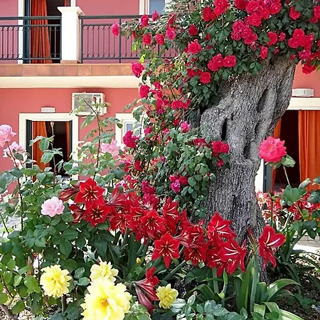 Corfu Sun Sea Side Aparthotel