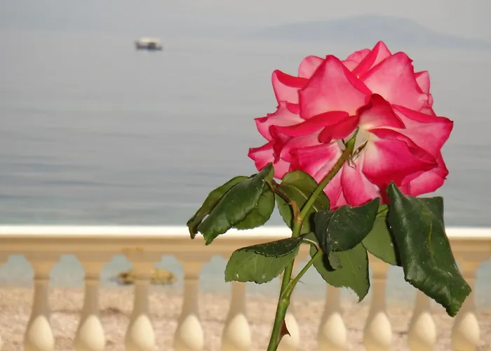 Corfu Sun Sea Side